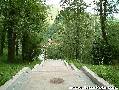 covadonga,casas de aldea rurales,casa rural ,casas de aldea,rurales,casa rural cangas de onis